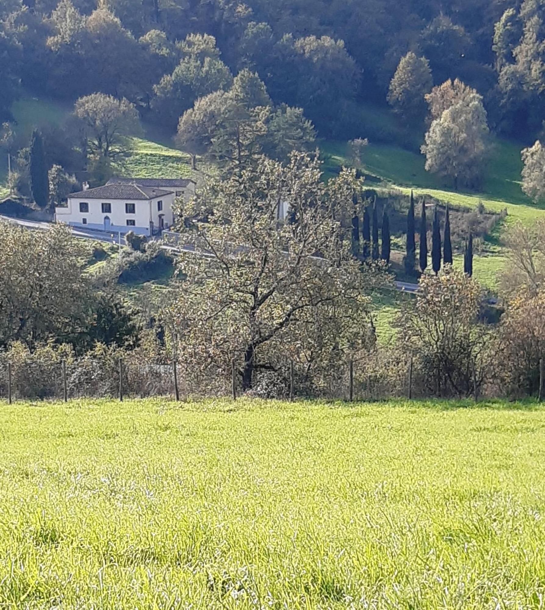 Casa Al Miglio *